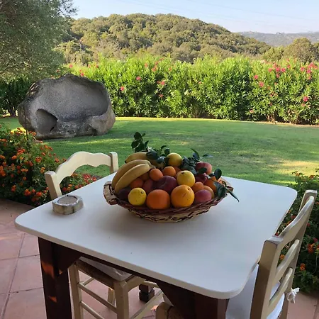 Aurora أرتْساكينا