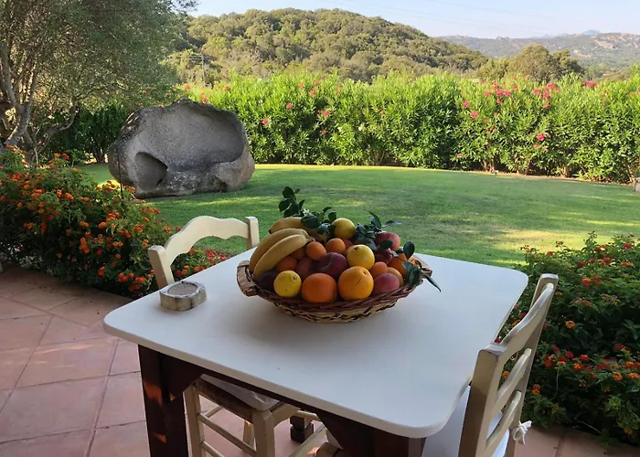 Aurora أرتْساكينا